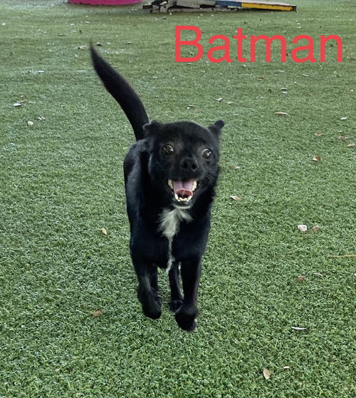 Batman