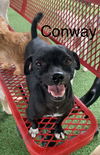 Conway