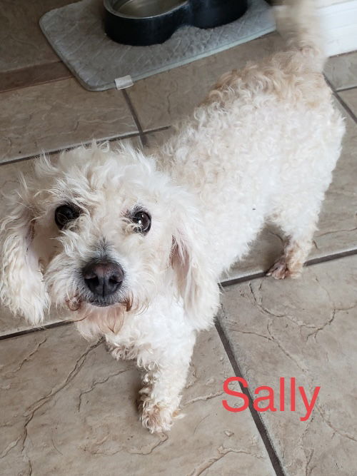 Sally