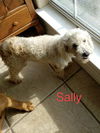 Sally