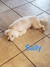 Sally