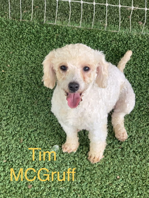 Tim McGruff