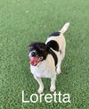 Lorretta