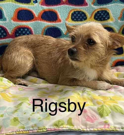 Rigsby