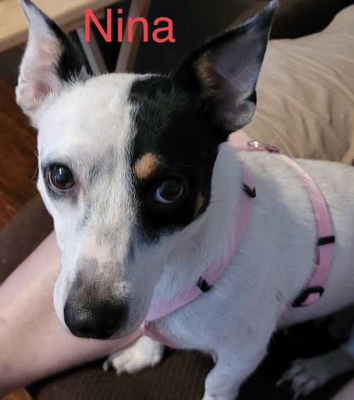 Nina