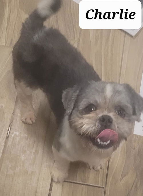 Charlie