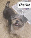 Charlie
