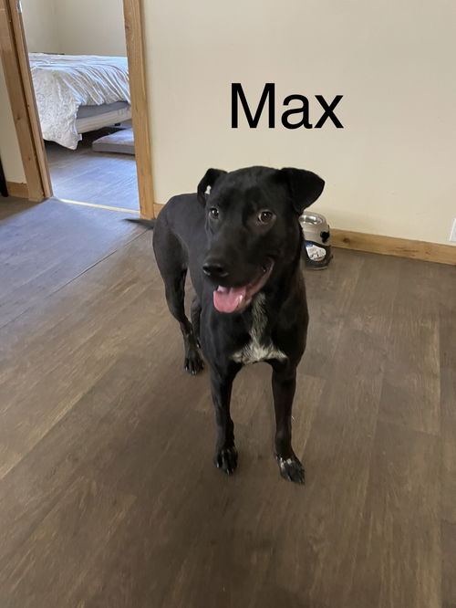 Max