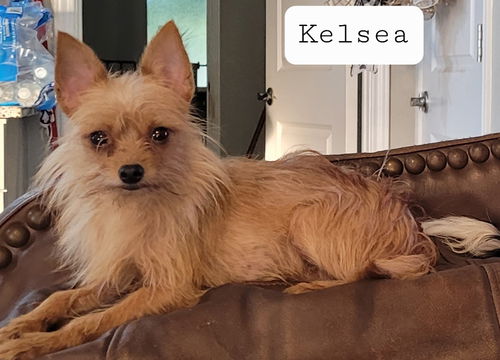 Kelsea