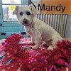 Mandy A658560