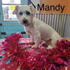 Mandy A658560