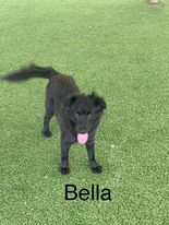 Bella