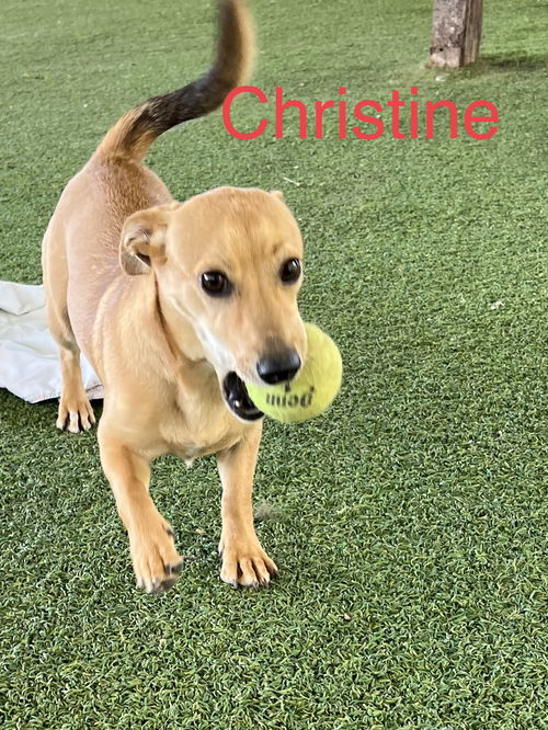 Christine