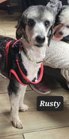 Rusty