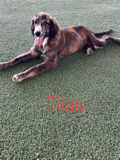 Titan