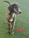 Titan