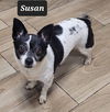 Susan