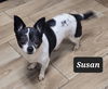 Susan