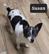 Susan