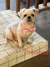 Precious