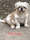 Precious