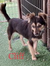 Cliff