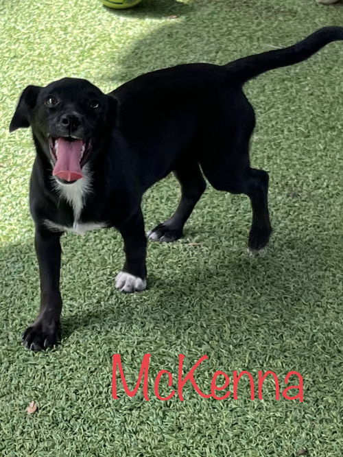 McKenna