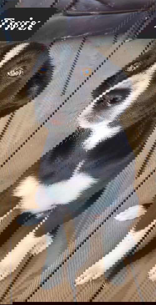 Twix