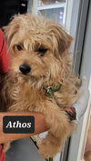 Athos