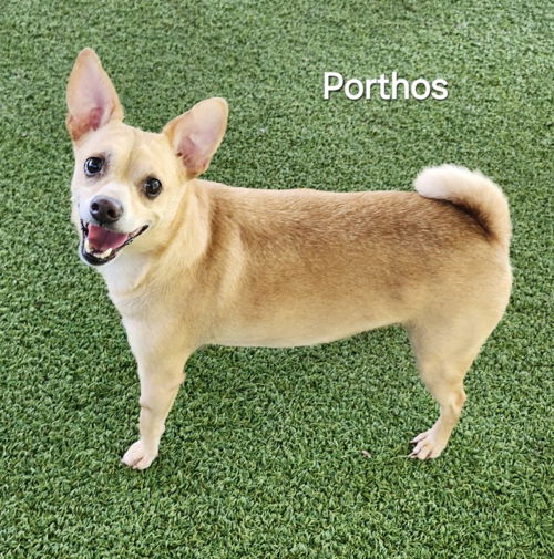 Porthos