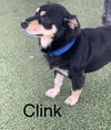 Clink