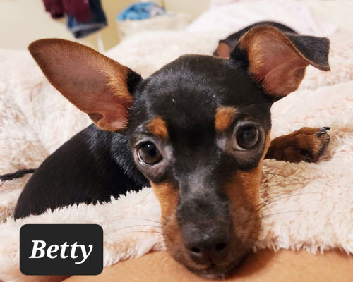 Betty