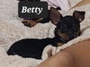 Betty