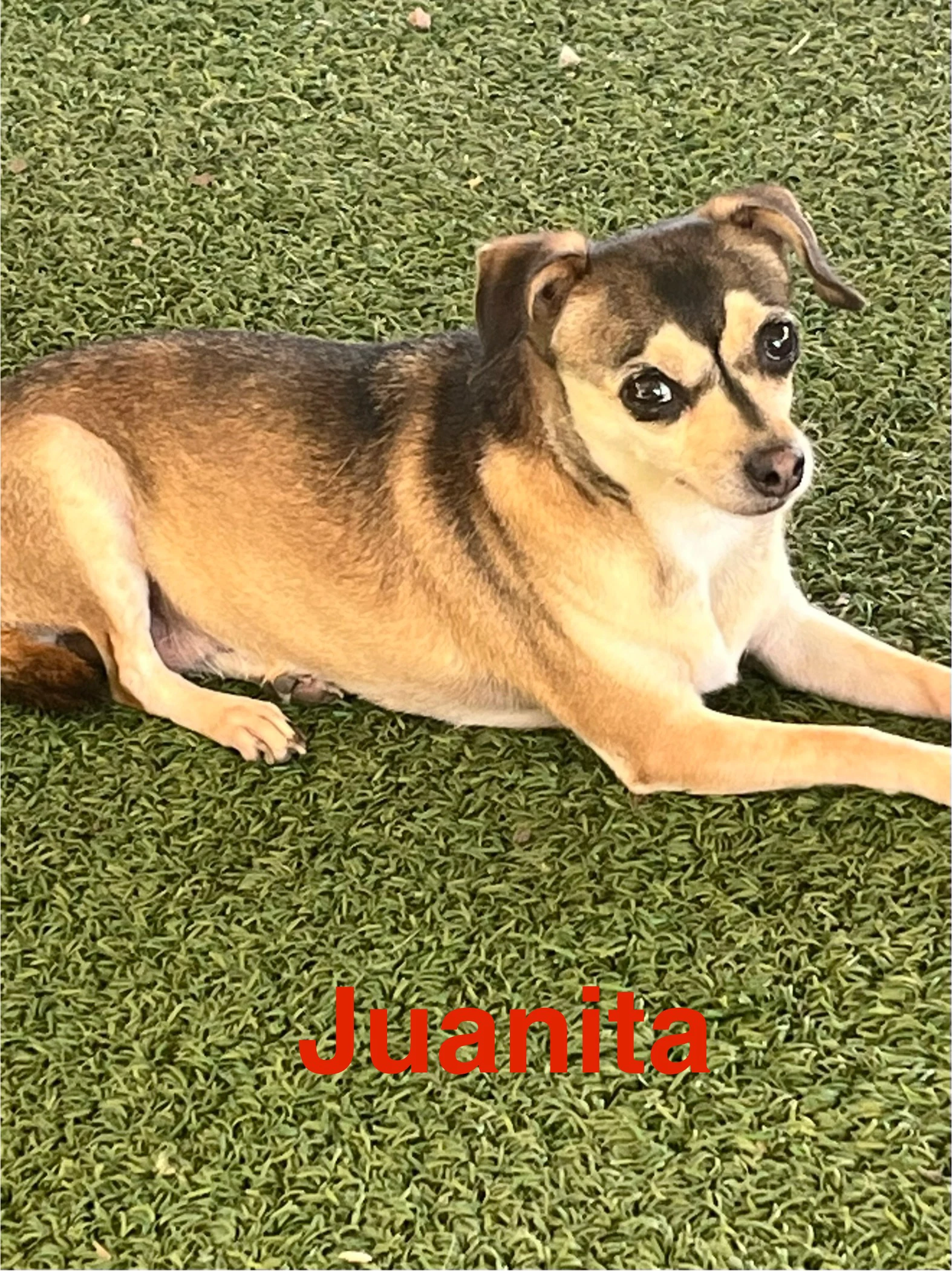 Juanita