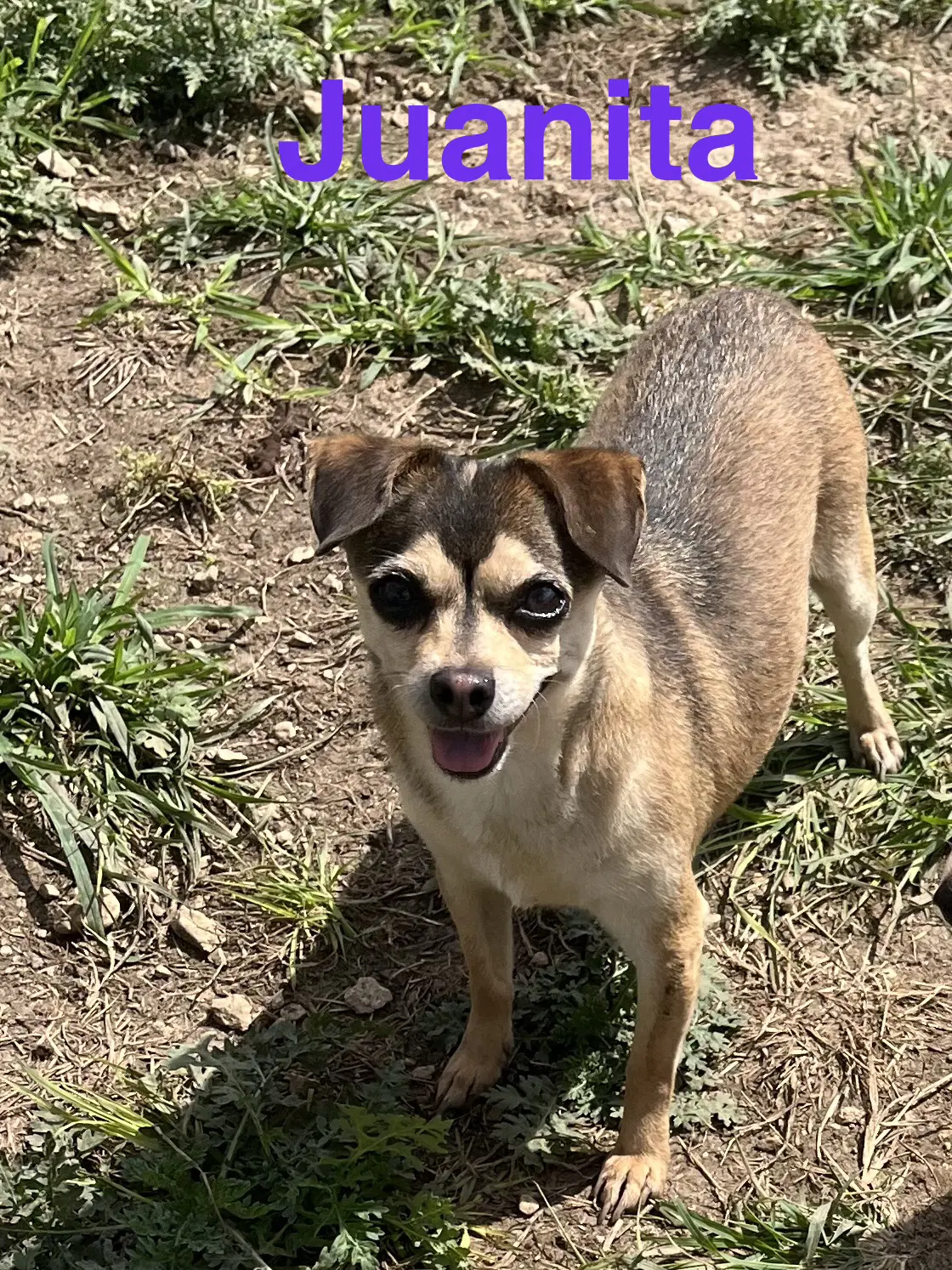 Juanita image 2