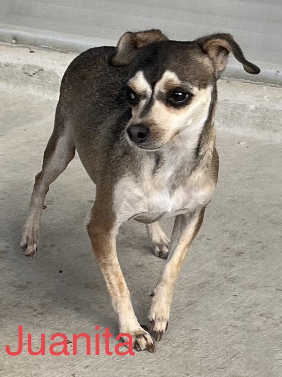 Juanita