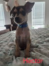 Hector