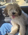 Murphy