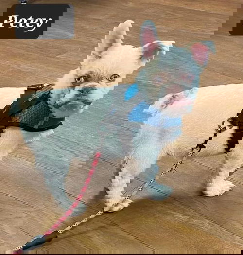Petey