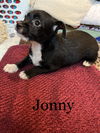 Jonny