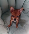 Monty