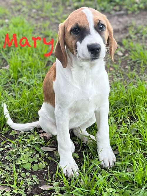 Mary