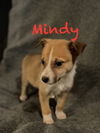 Mindy