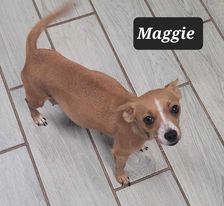 Maggie