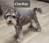Cowboy