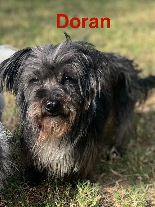 Doran