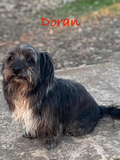 Doran