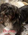 Doran