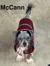 McCann