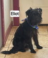 Eliot